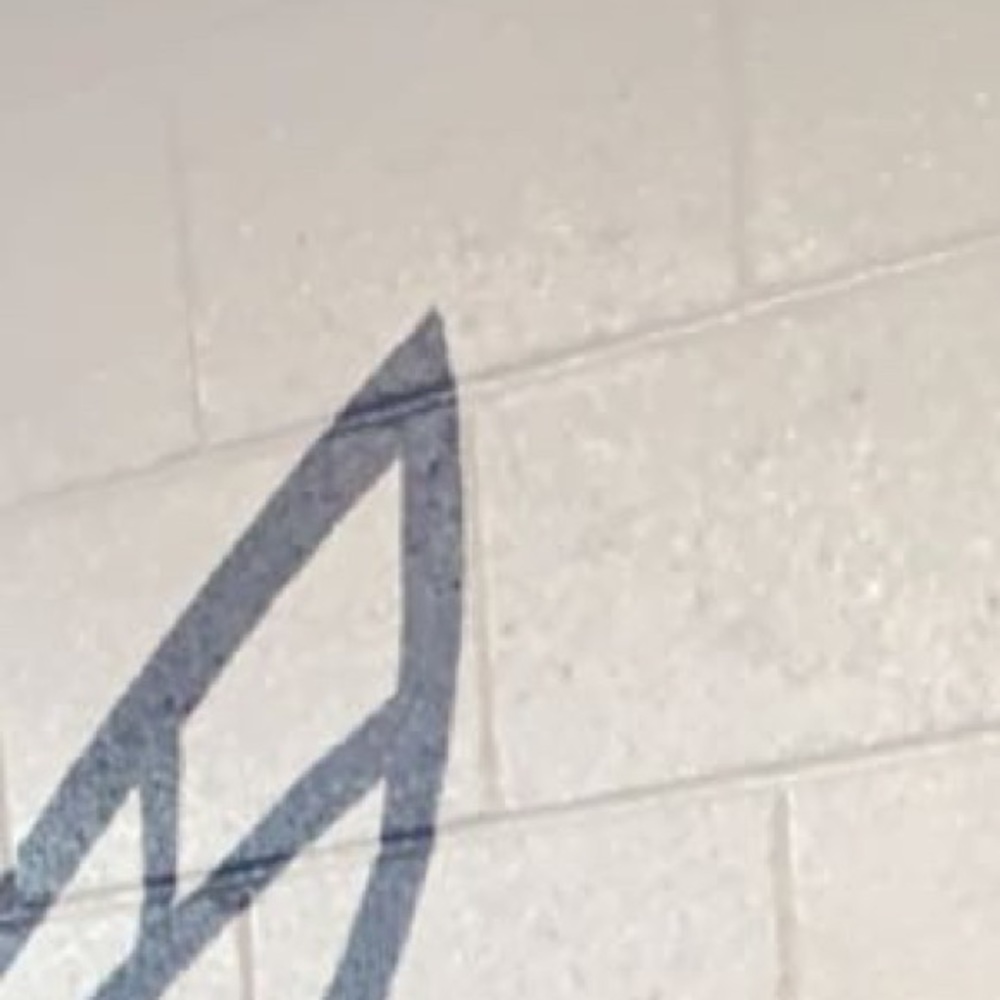 Meet your Posher, Divyonne